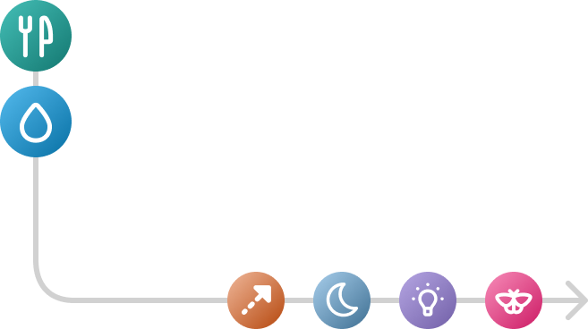 Habits of Health Journey Path